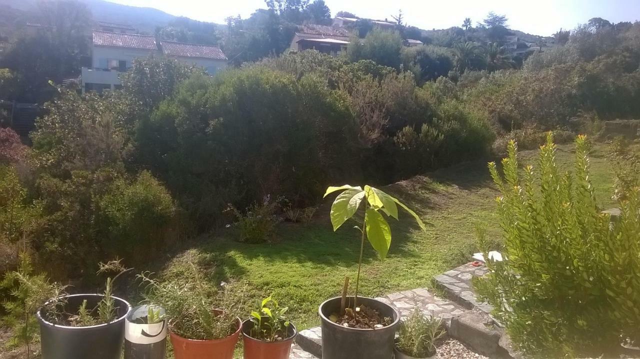 Apartament Studio In Porticcio Porticcio  Zewnętrze zdjęcie