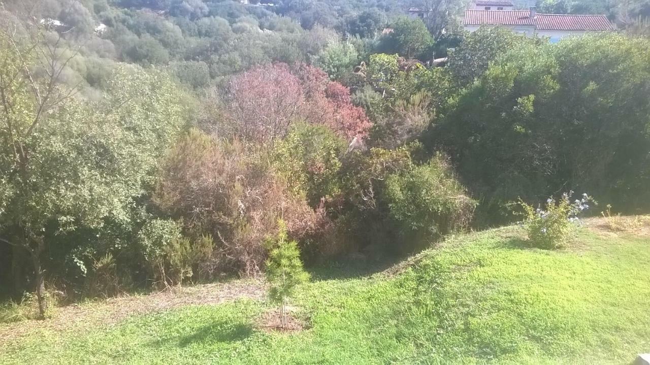 Apartament Studio In Porticcio Porticcio  Zewnętrze zdjęcie