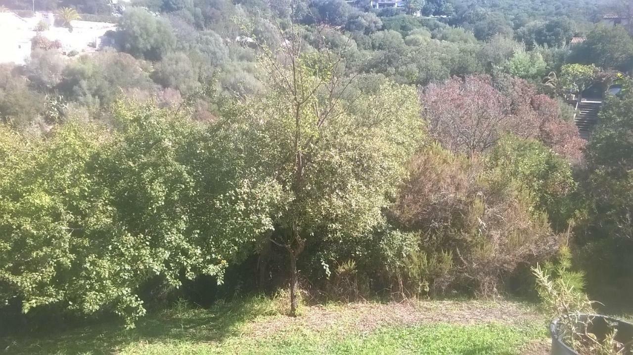 Apartament Studio In Porticcio Porticcio  Zewnętrze zdjęcie